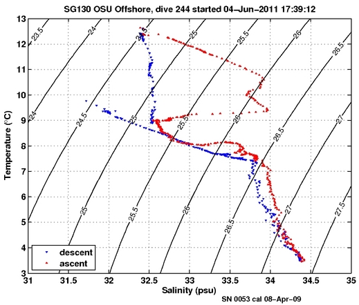 Temperature Salinity Diagnostic