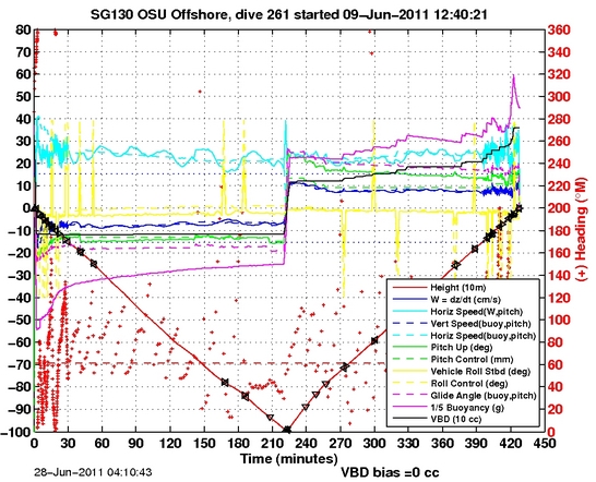 Dive Characteristics