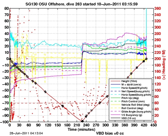 Dive Characteristics