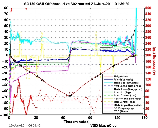 Dive Characteristics