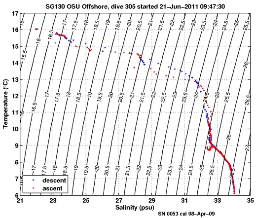 Temperature Salinity Diagnostic