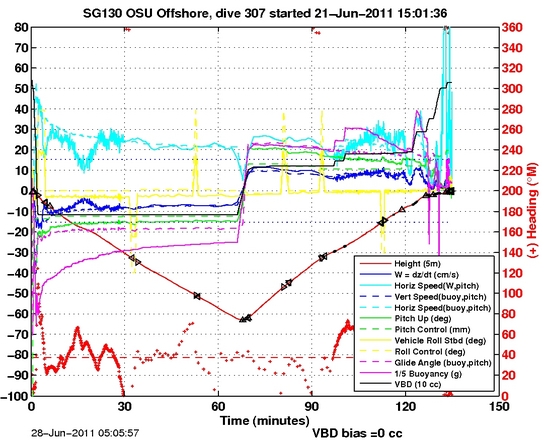 Dive Characteristics