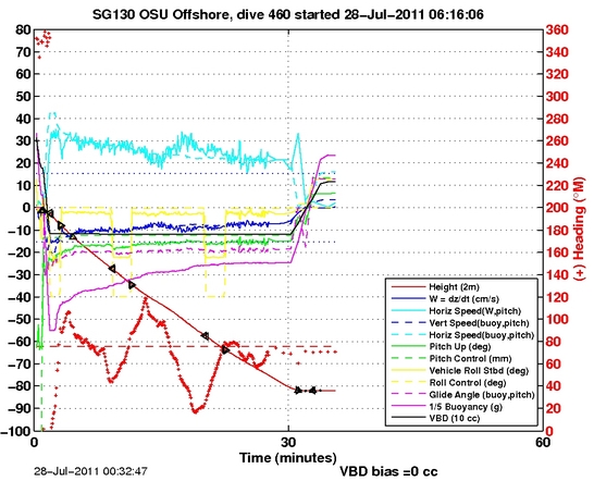 Dive Characteristics