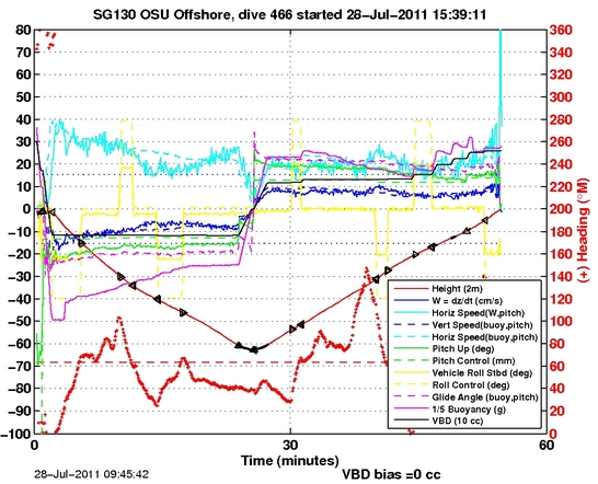 Dive Characteristics