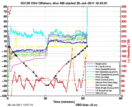 Dive Characteristics