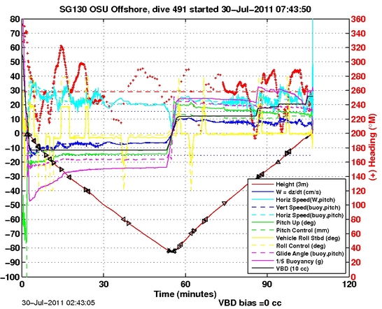 Dive Characteristics