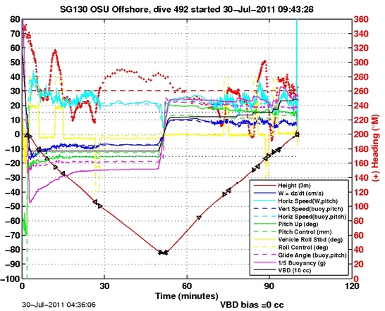 Dive Characteristics