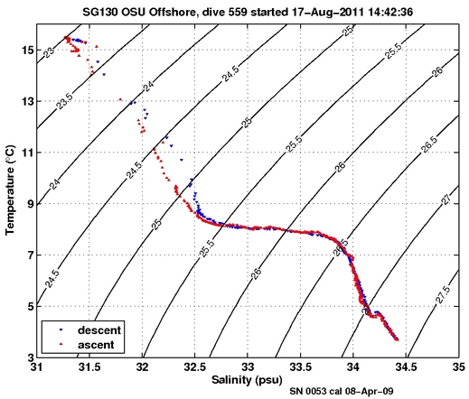 Temperature Salinity Diagnostic