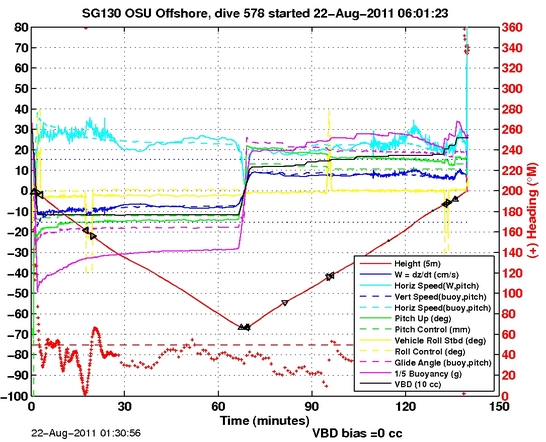 Dive Characteristics