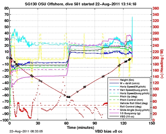 Dive Characteristics