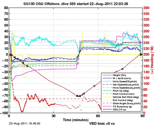 Dive Characteristics