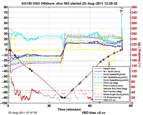 Dive Characteristics