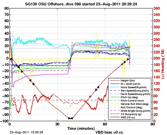 Dive Characteristics