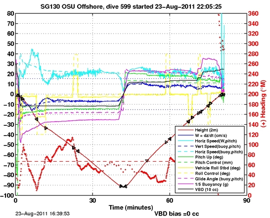 Dive Characteristics