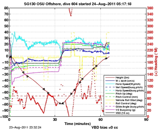 Dive Characteristics