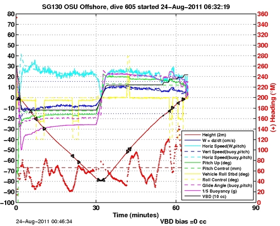 Dive Characteristics