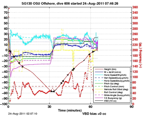 Dive Characteristics