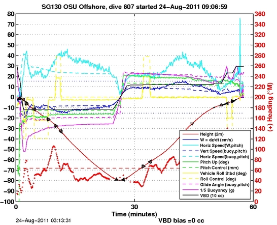 Dive Characteristics