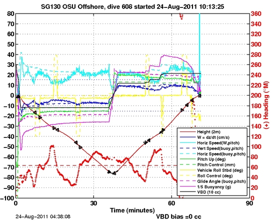 Dive Characteristics