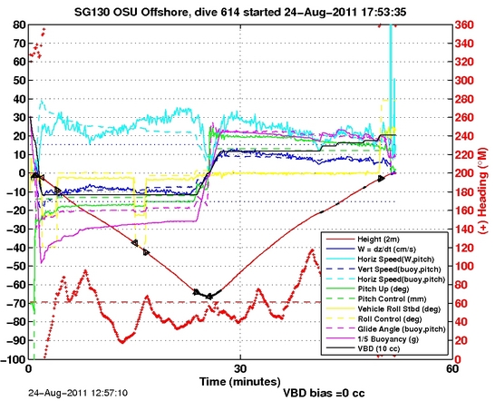 Dive Characteristics