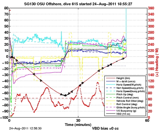 Dive Characteristics