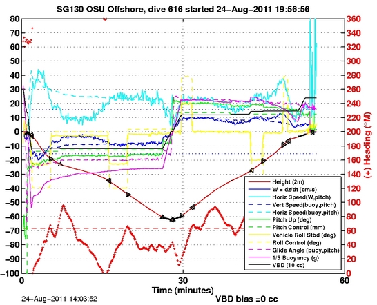 Dive Characteristics