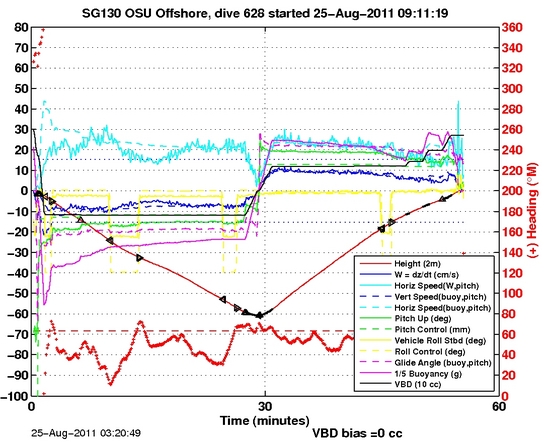 Dive Characteristics