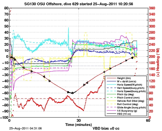 Dive Characteristics