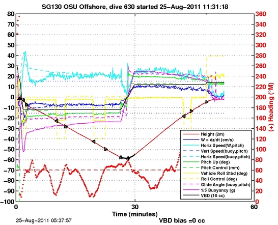 Dive Characteristics