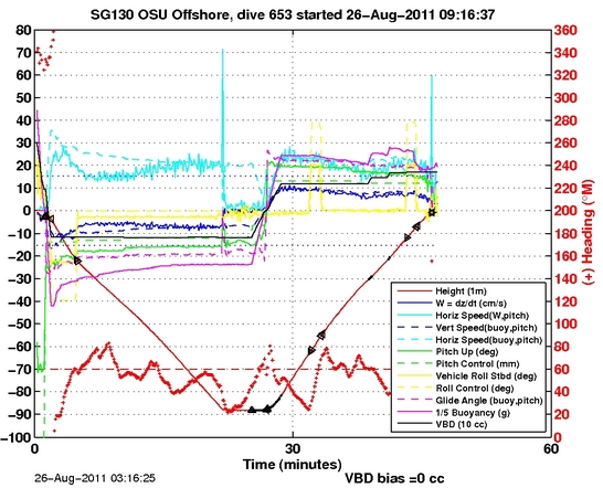 Dive Characteristics