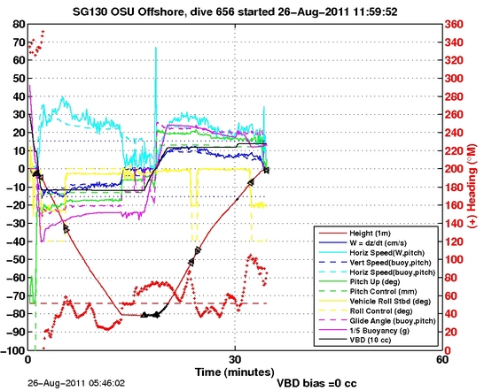 Dive Characteristics