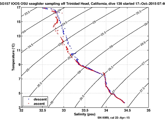 Temperature Salinity Diagnostic