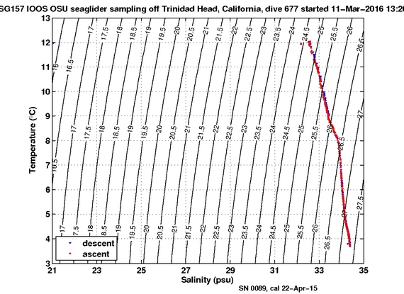 Temperature Salinity Diagnostic