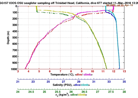 Temperature Salinity