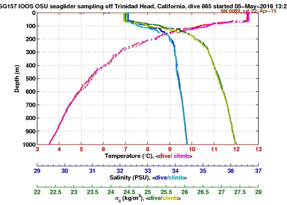 Temperature Salinity