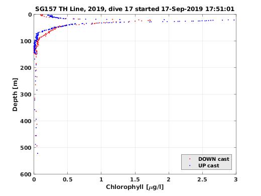 Chlorophyll