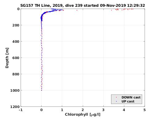 Chlorophyll