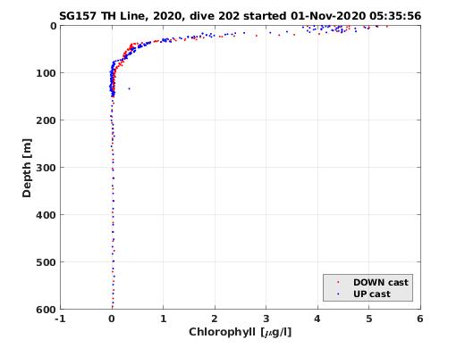 Chlorophyll