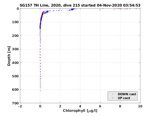 Chlorophyll