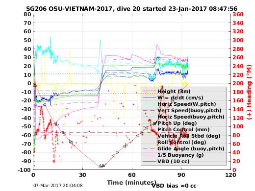 Dive Characteristics