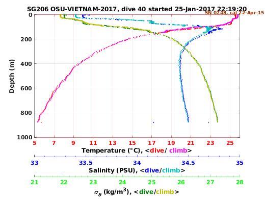 Temperature Salinity