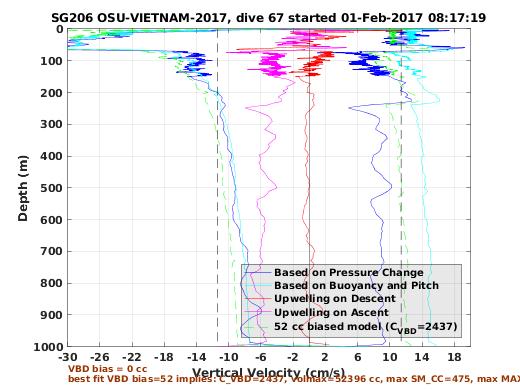 Vertical Velocity