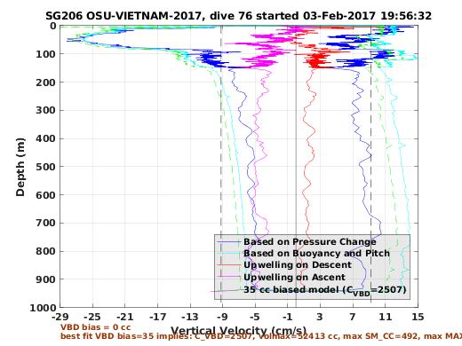 Vertical Velocity