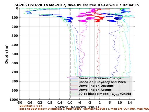 Vertical Velocity