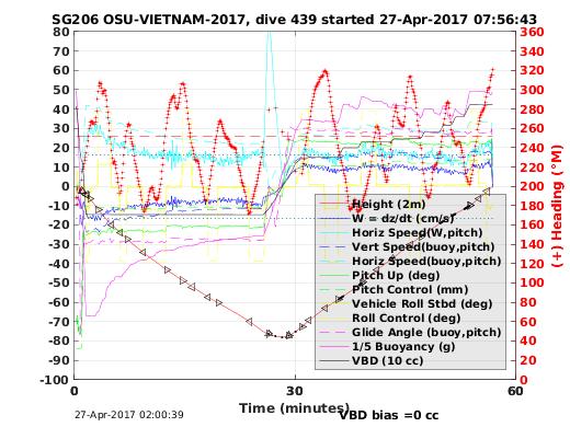 Dive Characteristics