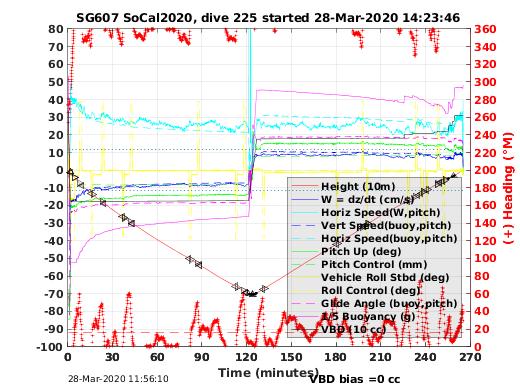 Dive Characteristics