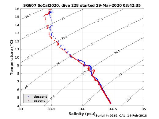 Temperature Salinity Diagnostic