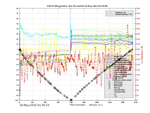 Dive Characteristics